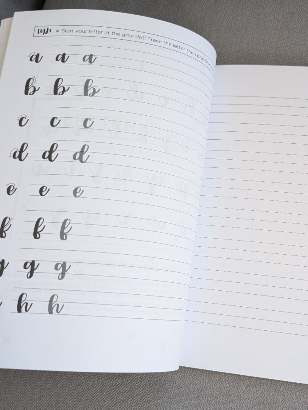 Lettering and Modern Calligraphy Book - White/Gold Accent - Picture 4 of 4